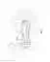 Fig. 07 - Easy-pedaling and labor-saving bicycle