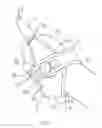Fig. 02 - Hand strap for a skiing pole or similar