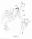 Fig. 04 - Hand strap for a skiing pole or similar