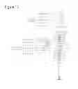 Fig. 15 - Wind energy electricity generator for low wind velocity