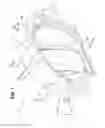 Fig. 02 - Fender panel mounting structure for vehicle
