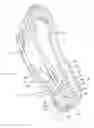 Fig. 01 - FASTENING MEMBER