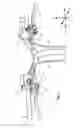 Fig. 03 - Saddle riding type vehicle