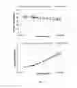 Fig. 04 - Composition simulating the dielectric properties of the human body and use thereof for SAR measurement