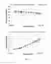 Fig. 05 - Composition simulating the dielectric properties of the human body and use thereof for SAR measurement