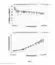 Fig. 06 - Composition simulating the dielectric properties of the human body and use thereof for SAR measurement