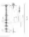 Fig. 13 - Haptic effect conversion system using granular synthesis