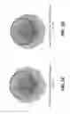 Fig. 04 - Antenna systems providing simultaneously identical main beam radiation characteristics