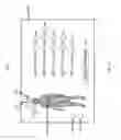 Fig. 04 - Virtual Fitting Room