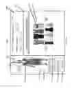 Fig. 15 - Virtual Fitting Room