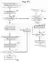 Fig. 20 - Virtual object orientation and visualization
