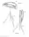 Fig. 16 - THREE DIMENSIONAL SCANNING APPARATUSES AND METHODS FOR ADJUSTING THREE DIMENSIONAL SCANNING APPARATUSES