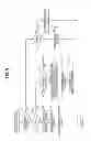 Fig. 10 - IMAGE PICKUP APPARATUS