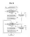 Fig. 18 - IMAGE PICKUP APPARATUS