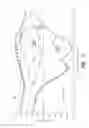 Fig. 06 - Method and apparatus for determining a focal position of an imaging device adapted to image a biologic sample
