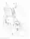 Fig. 02 - DEVICE FOR VIEWING A DIGITAL IMAGE