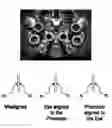 Fig. 01 - Methods and devices for refractive correction of eyes