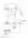 Fig. 01 - Ignition system
