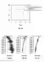 Fig. 08 - Removing offset from seismic signals