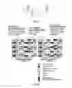 Fig. 03 - Wireless communication system, base station apparatus, user terminal, and channel state information measurement method
