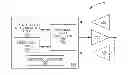 Fig. 01 - Frequency synchronization method for nodes in a downlink coordinated multiple point transmission scenario