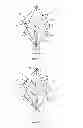 Fig. 02 - Parachute assembly for deploying a wireless mesh network