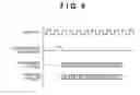 Fig. 08 - IMAGE COMMUNICATION APPARATUS, METHOD OF CONTROLLING THE SAME, AND STORAGE  MEDIUM