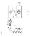 Fig. 02 - Systems and methods for multi-pass adaptive people counting