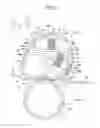 Fig. 03 - Fixing device and image forming apparatus