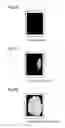 Fig. 13 - Fixation device and image formation apparatus
