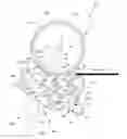 Fig. 01 - Image heating apparatus
