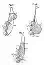 Fig. 06 - DISPENSER