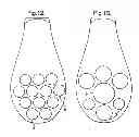 Fig. 08 - DISPENSER