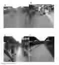 Fig. 01 - Stabilizing agents and methods of use thereof
