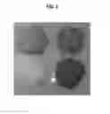 Fig. 03 - Stabilizing agents and methods of use thereof