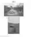 Fig. 04 - Stabilizing agents and methods of use thereof