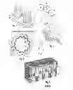 Fig. 02 - Drainage body surface unit