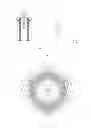 Fig. 02 - Immersion fixed bed reactor intensified by liquid flow