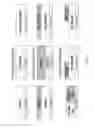 Fig. 03 - Integrated Supports for Emission Control Catalysts