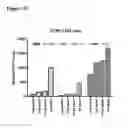 Fig. 10 - Antibodies