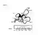 Fig. 02 - CYCLOTIDES AS IMMUNOSUPPRESSIVE AGENTS
