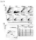 Fig. 03 - CYCLOTIDES AS IMMUNOSUPPRESSIVE AGENTS