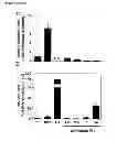 Fig. 08 - CYCLOTIDES AS IMMUNOSUPPRESSIVE AGENTS