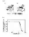 Fig. 09 - CYCLOTIDES AS IMMUNOSUPPRESSIVE AGENTS