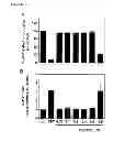 Fig. 10 - CYCLOTIDES AS IMMUNOSUPPRESSIVE AGENTS