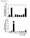 Fig. 11 - CYCLOTIDES AS IMMUNOSUPPRESSIVE AGENTS