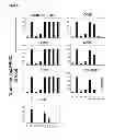 Fig. 12 - CYCLOTIDES AS IMMUNOSUPPRESSIVE AGENTS