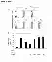 Fig. 16 - CYCLOTIDES AS IMMUNOSUPPRESSIVE AGENTS