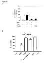 Fig. 17 - CYCLOTIDES AS IMMUNOSUPPRESSIVE AGENTS
