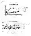 Fig. 24 - CYCLOTIDES AS IMMUNOSUPPRESSIVE AGENTS